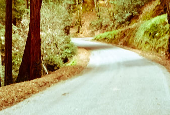 Tunitas Creek Ride