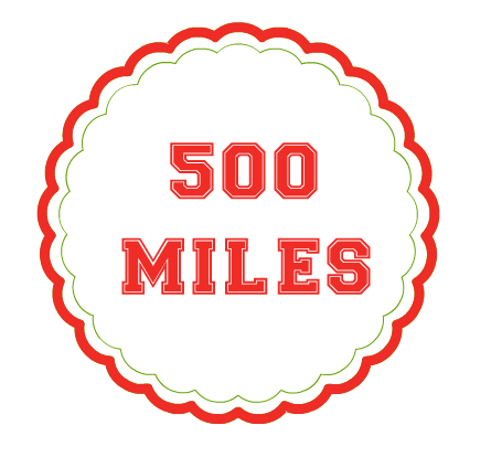 Meeting a goal, 500 Miles in 2011