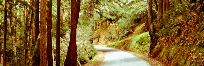 Tunitas Creek Ride